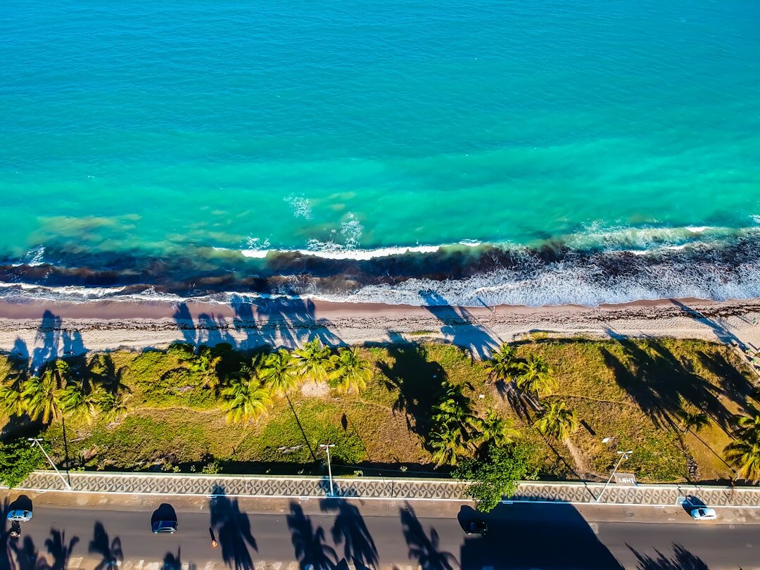 Vehicle parked near a tropical Brazilian coastline avenue